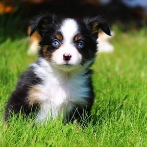 Meet your Posher, Ann